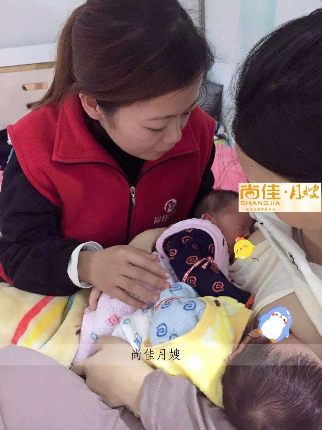 尚佳專業(yè)月嫂丨初生嬰兒需要吃多少？