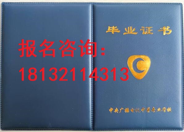 電大中?？荚囋趺崔k